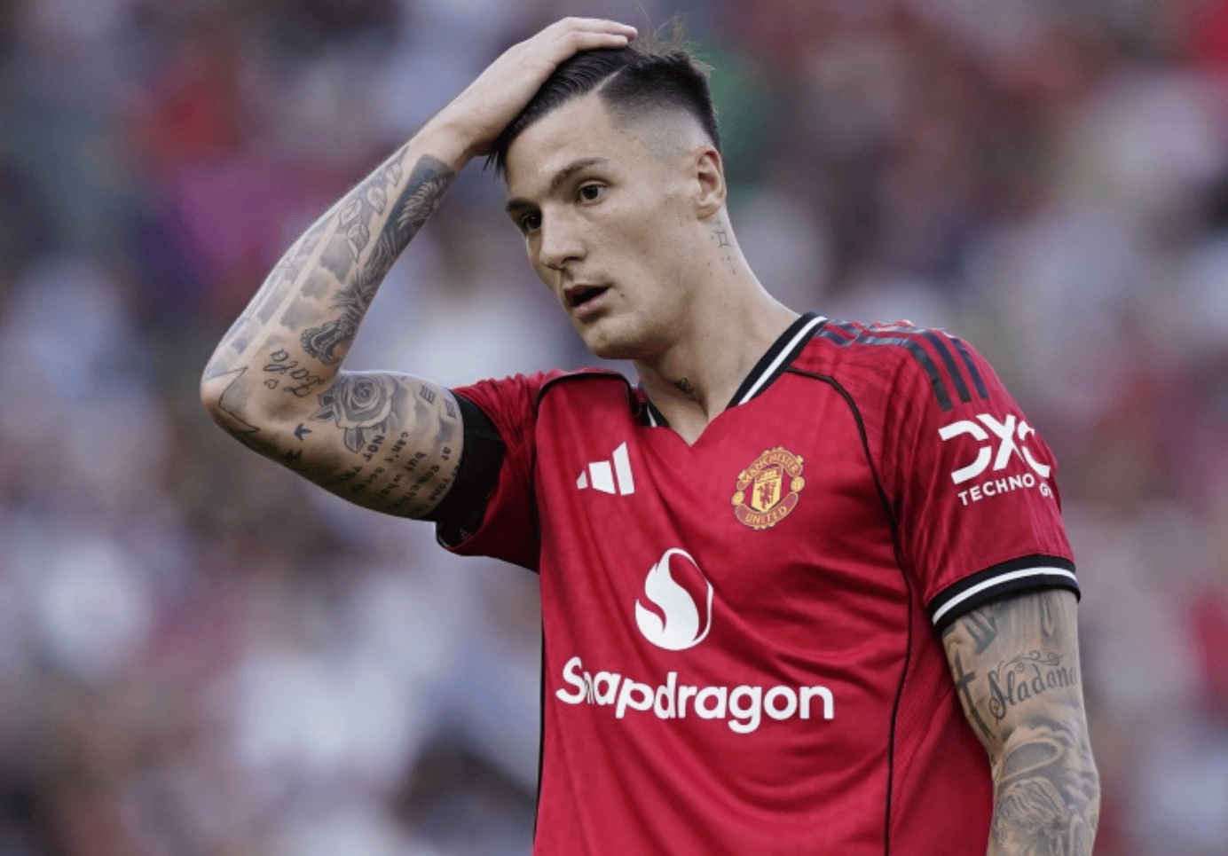 关于曼联英超战胜富勒姆拉什福德单刀得手的信息